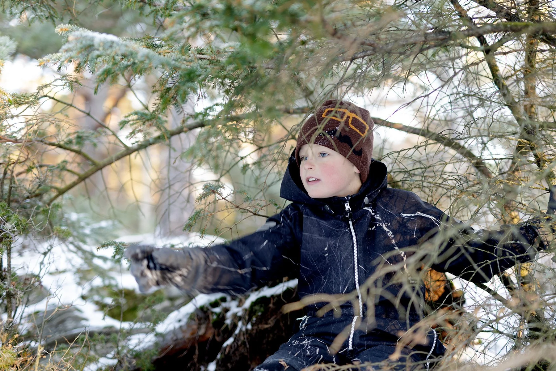 blogg-231203snoiskogenisen20.jpg