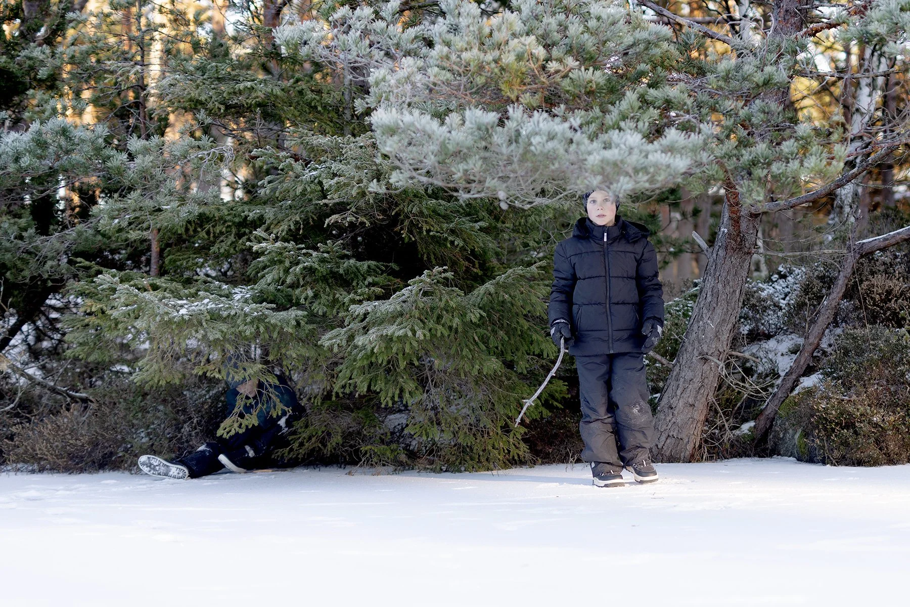 blogg-231203snoiskogenisen21.jpg