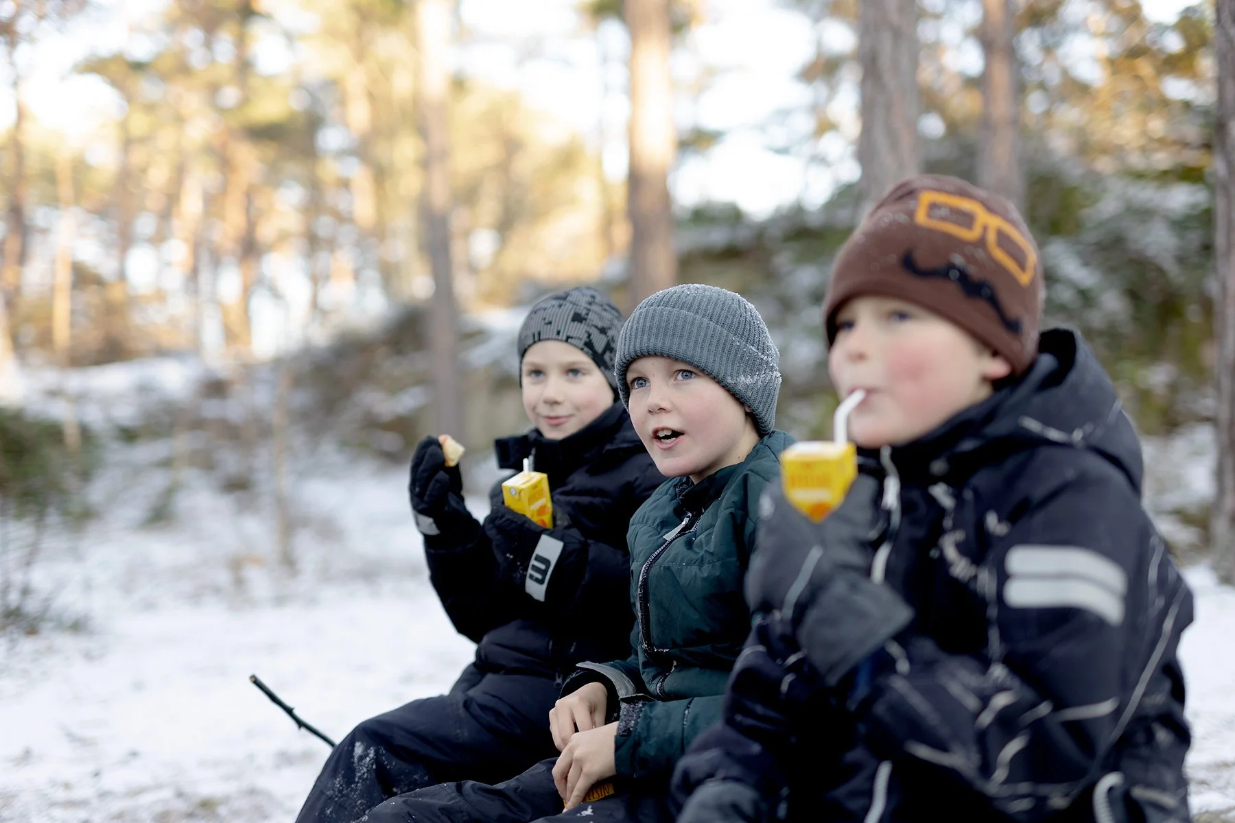 blogg-231203snoiskogenisen232.jpg