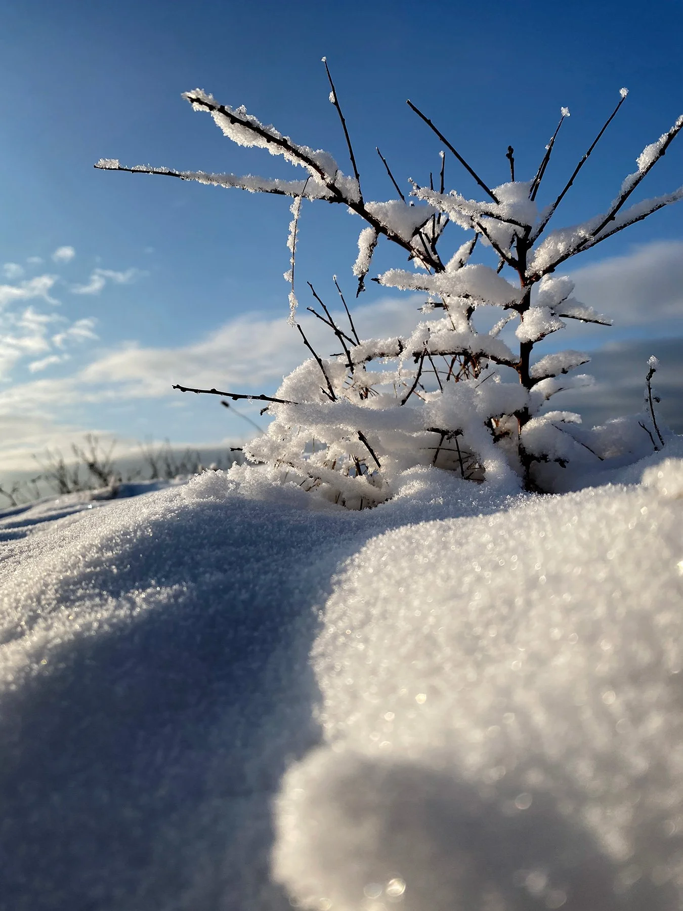 blogg-231207fyrensolsno8.jpg