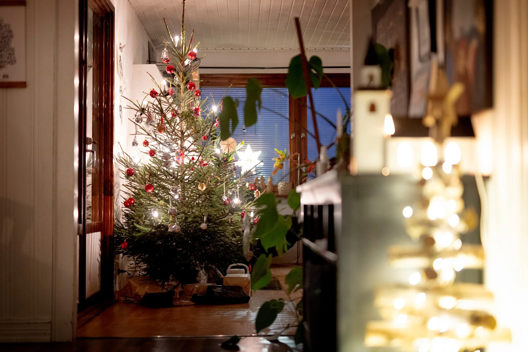 blogg-231217klagran18.jpg