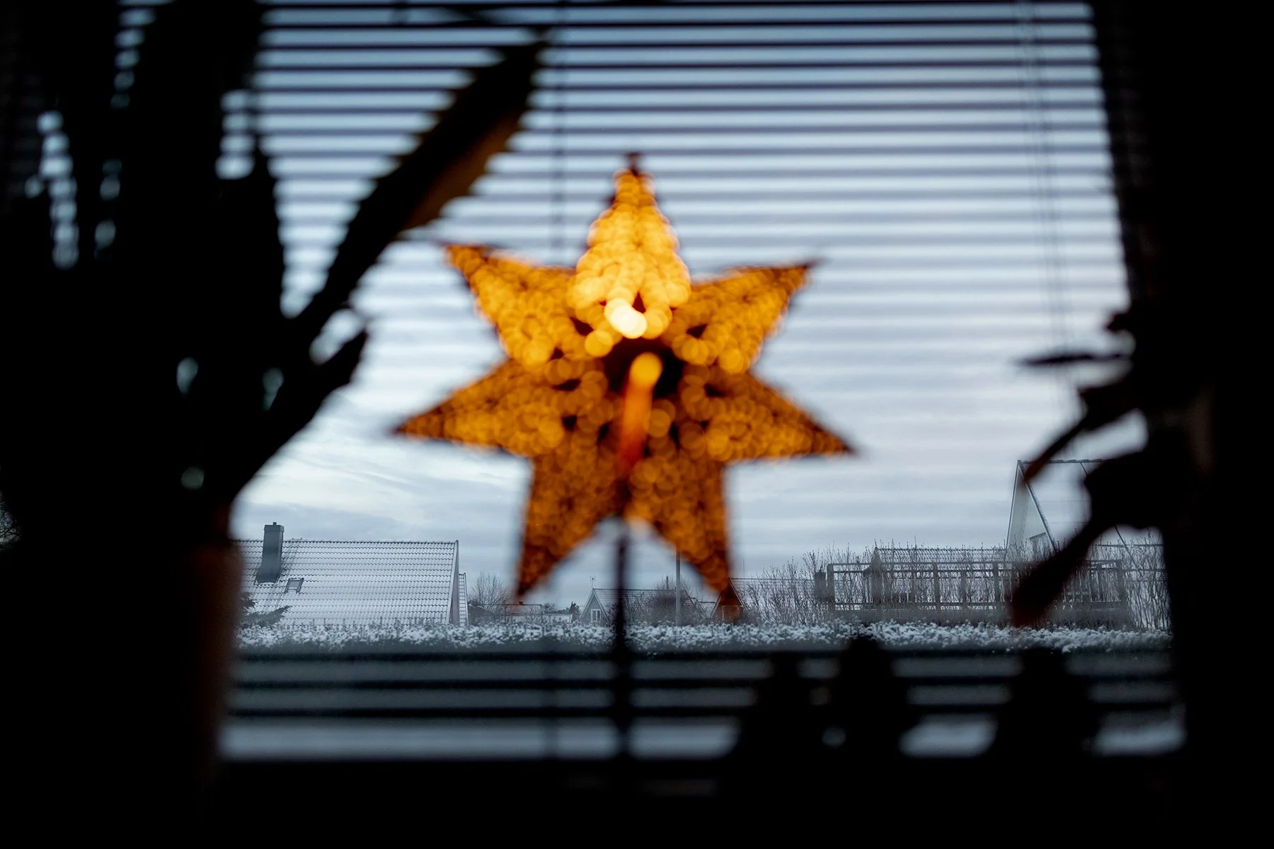 blogg-231222snomorgon3.jpg