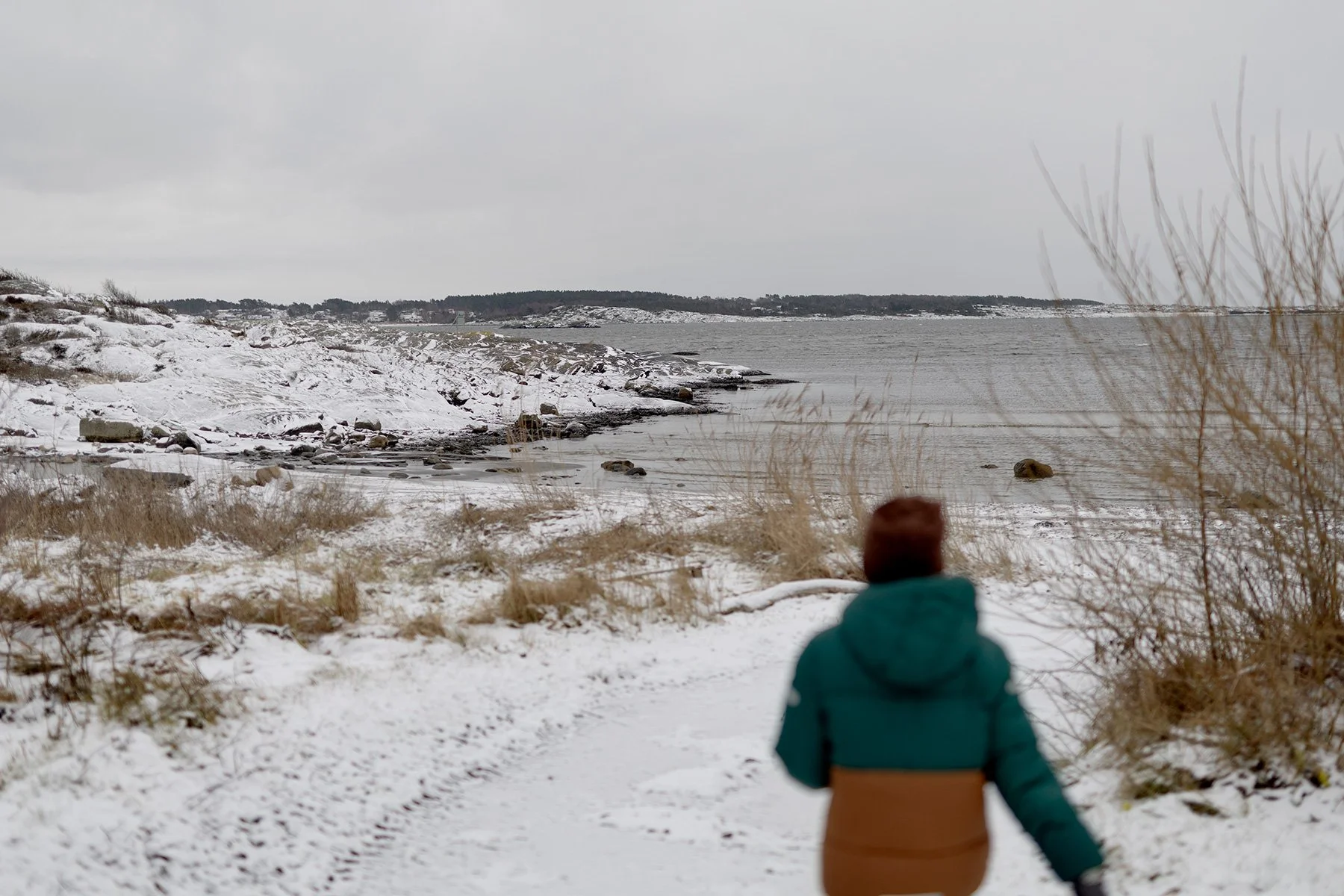 blogg-240102snoisanddamm1.jpg