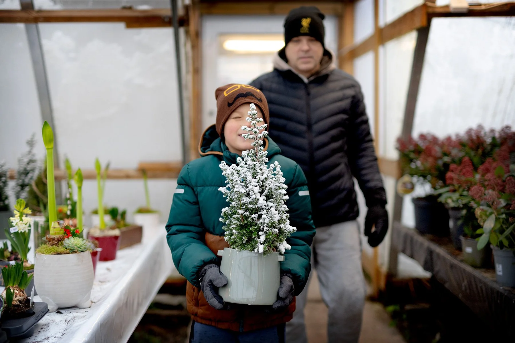 Snögran till snögrann