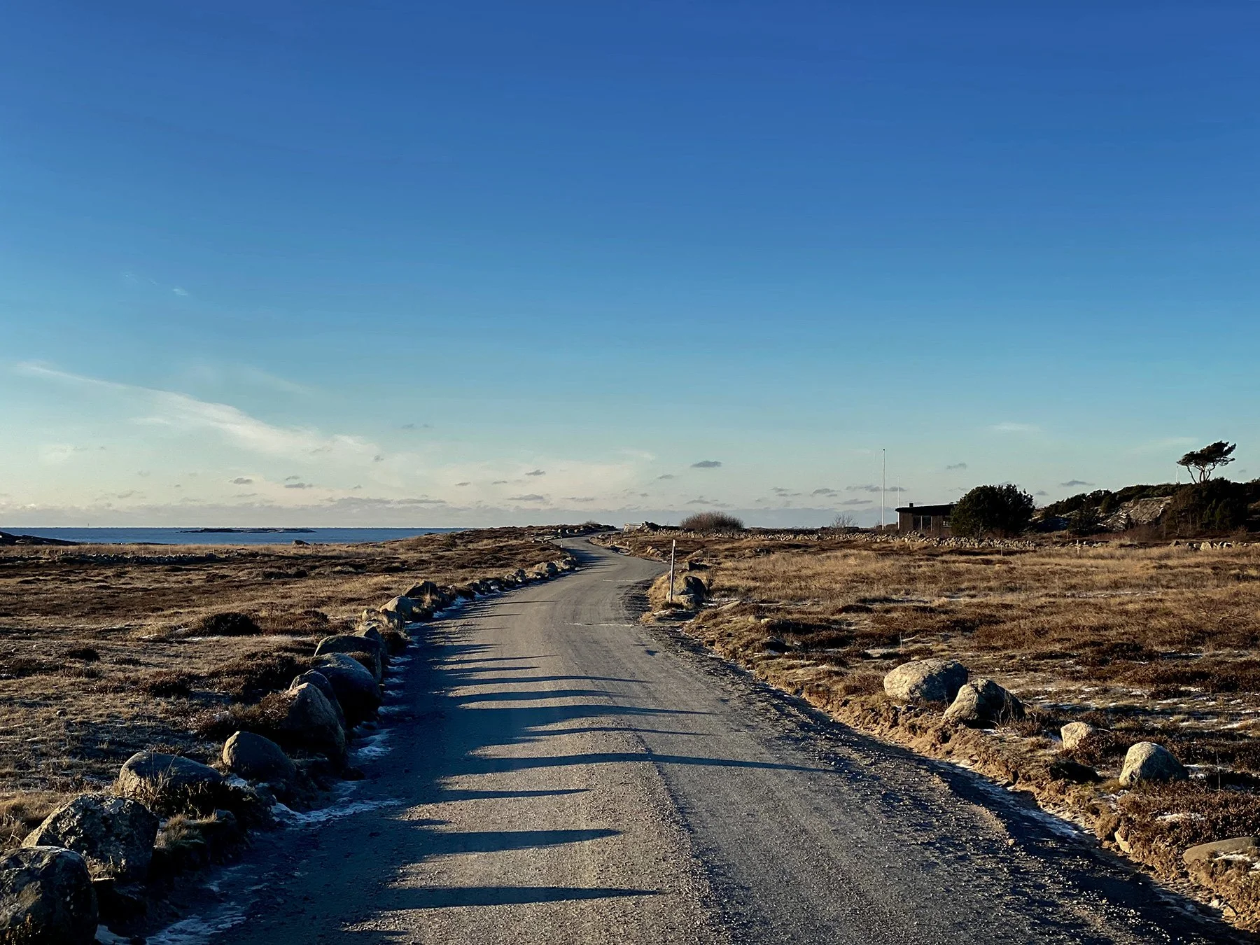 blogg-240105kallpromenad7.jpg