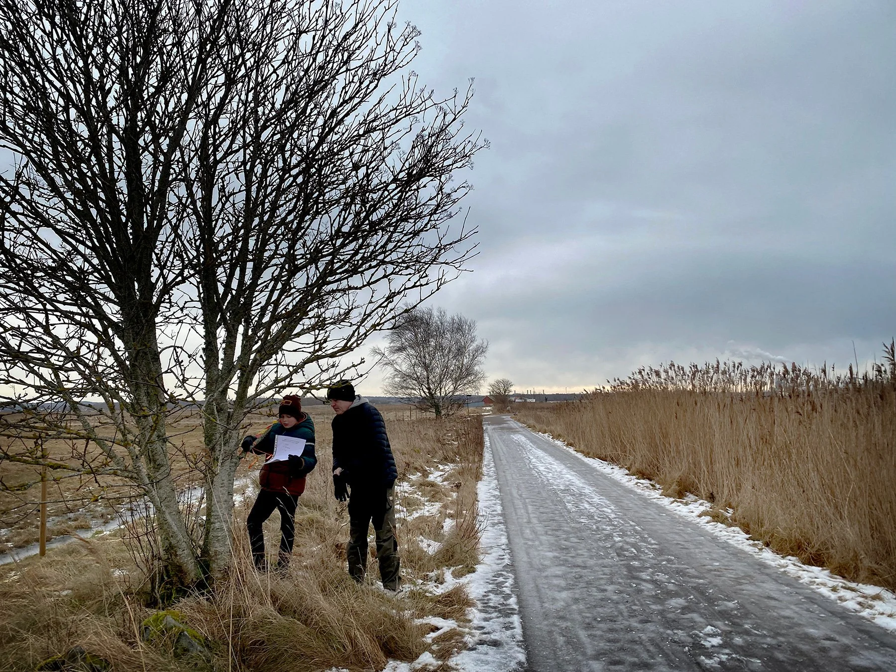 Poängpromenad