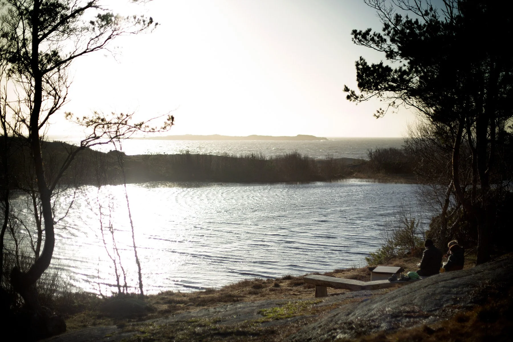 blogg-240203flakatillnackrosdammen5.jpg