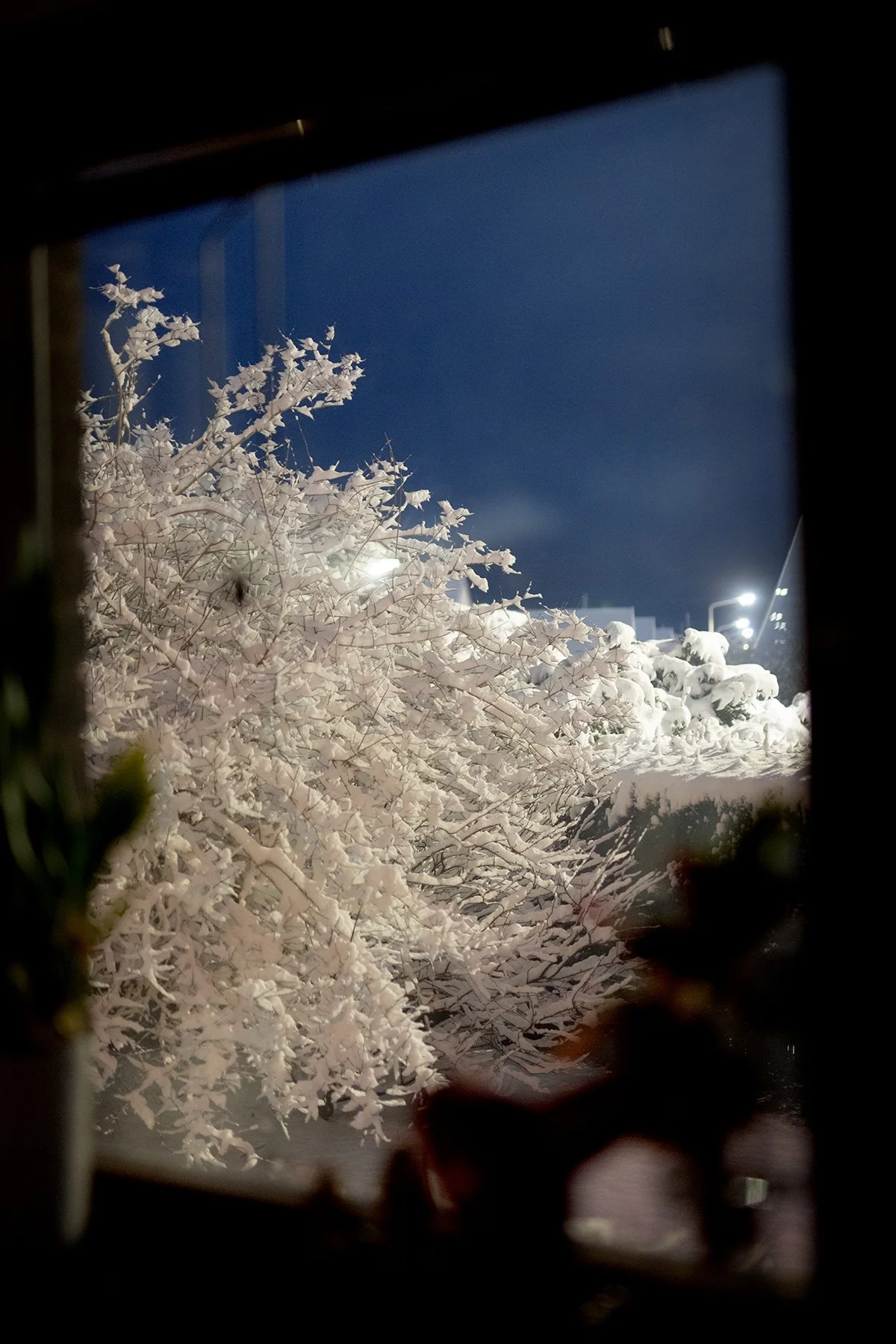 blogg-240208snomorgonbua1.jpg
