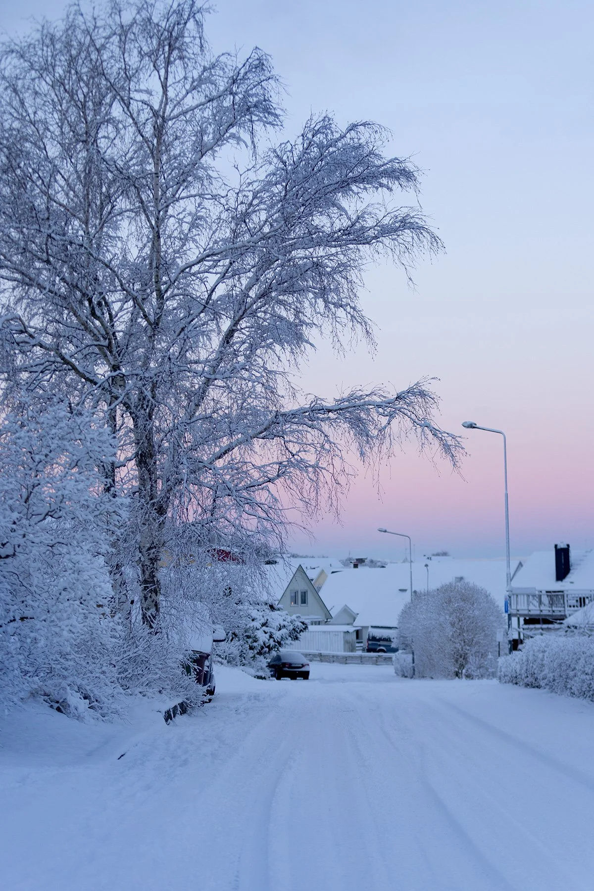 blogg-240208snomorgonbua15.jpg