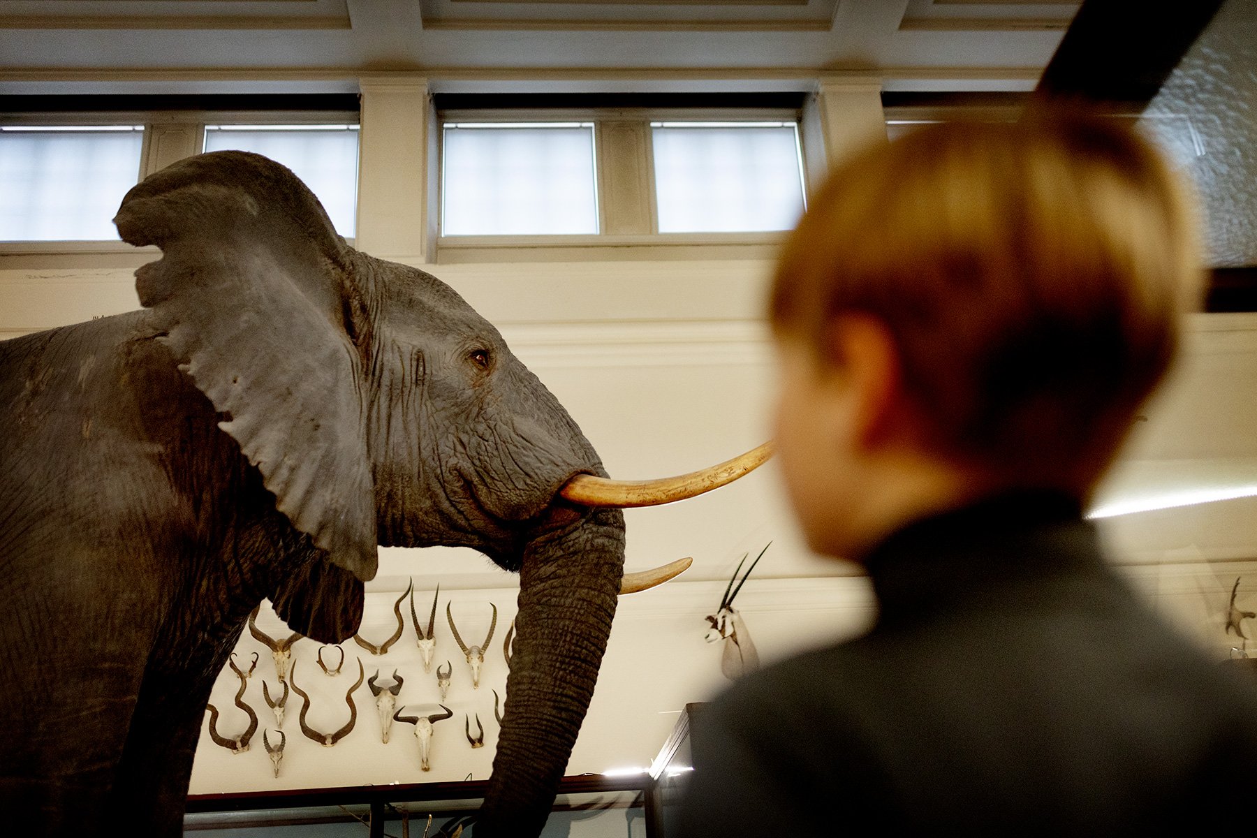 blogg-240221naturhistoriska2.jpg