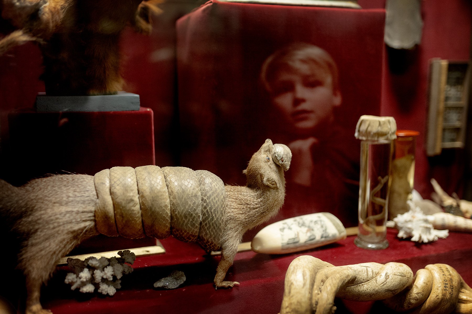 blogg-240221naturhistoriska10.jpg
