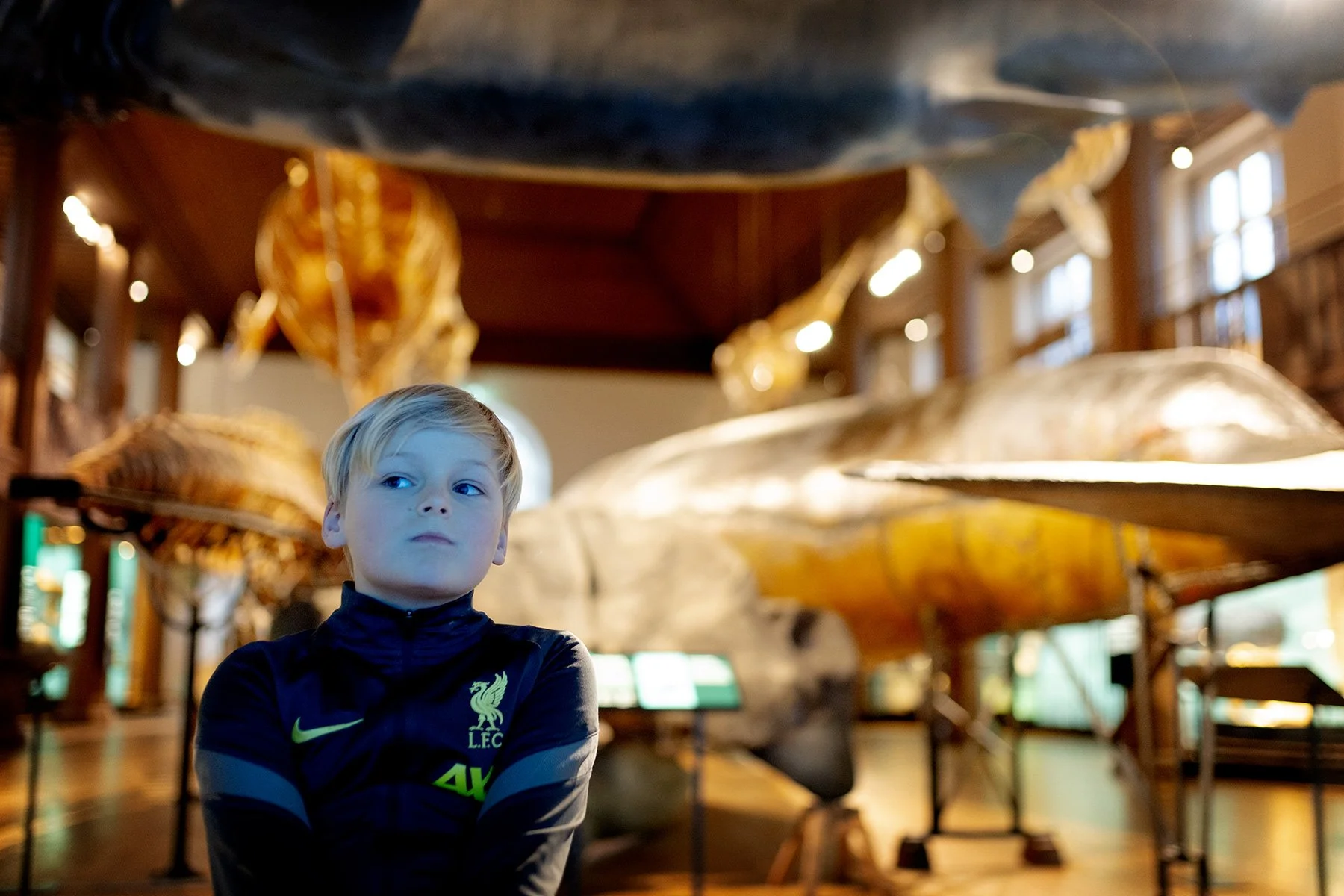blogg-240221naturhistoriska15.jpg