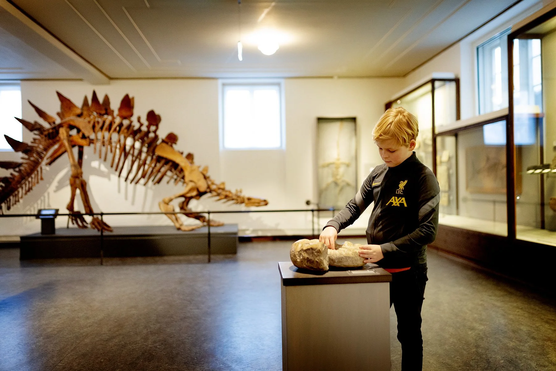 blogg-240221naturhistoriska28.jpg