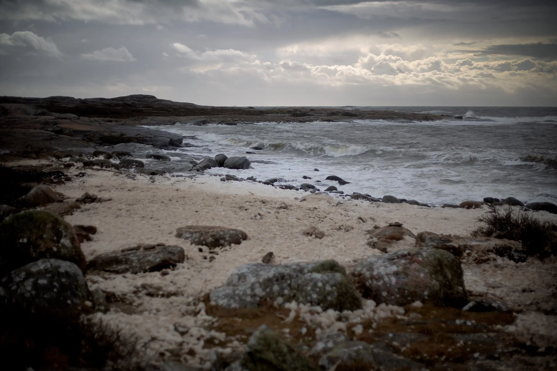 blogg-240223fyrenpokemonpromenad12.jpg