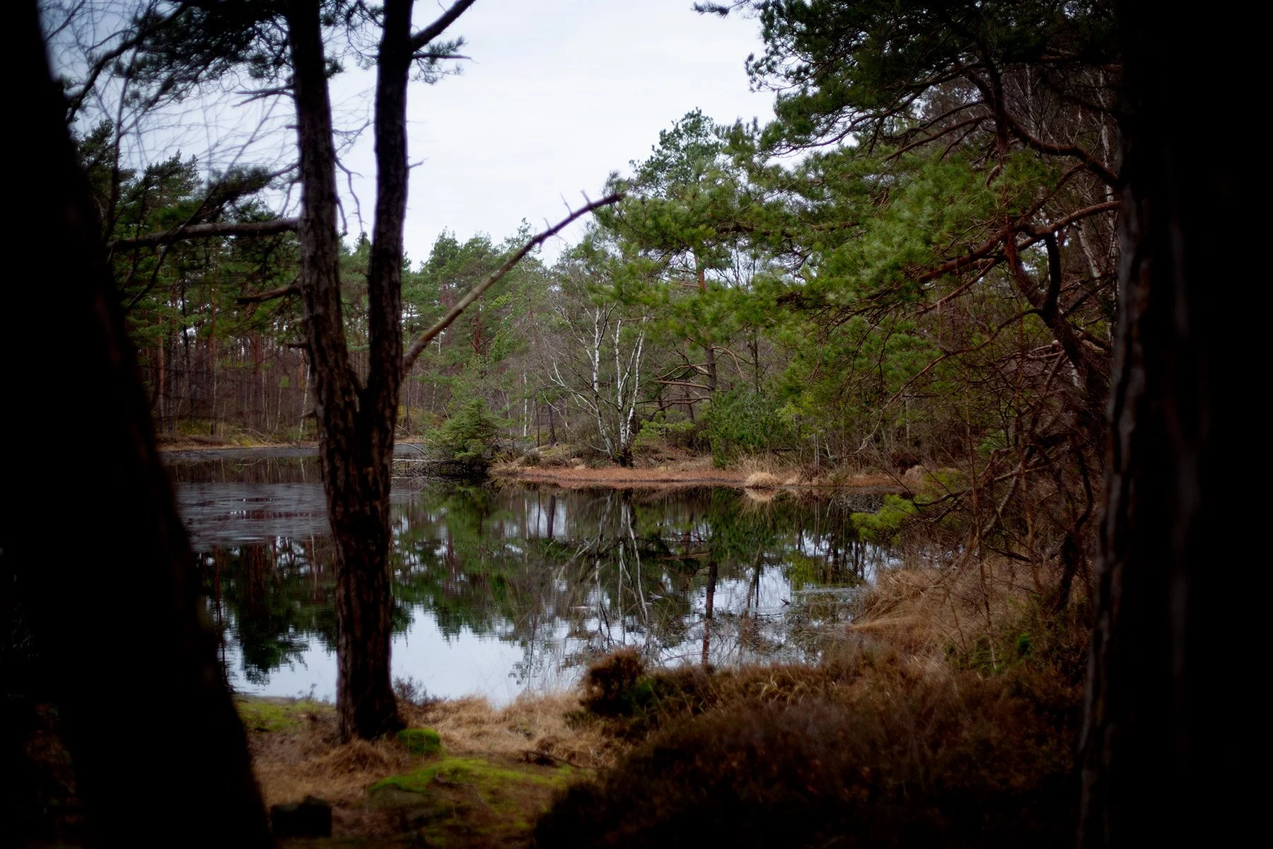 blogg-240224vindskyddet1.jpg