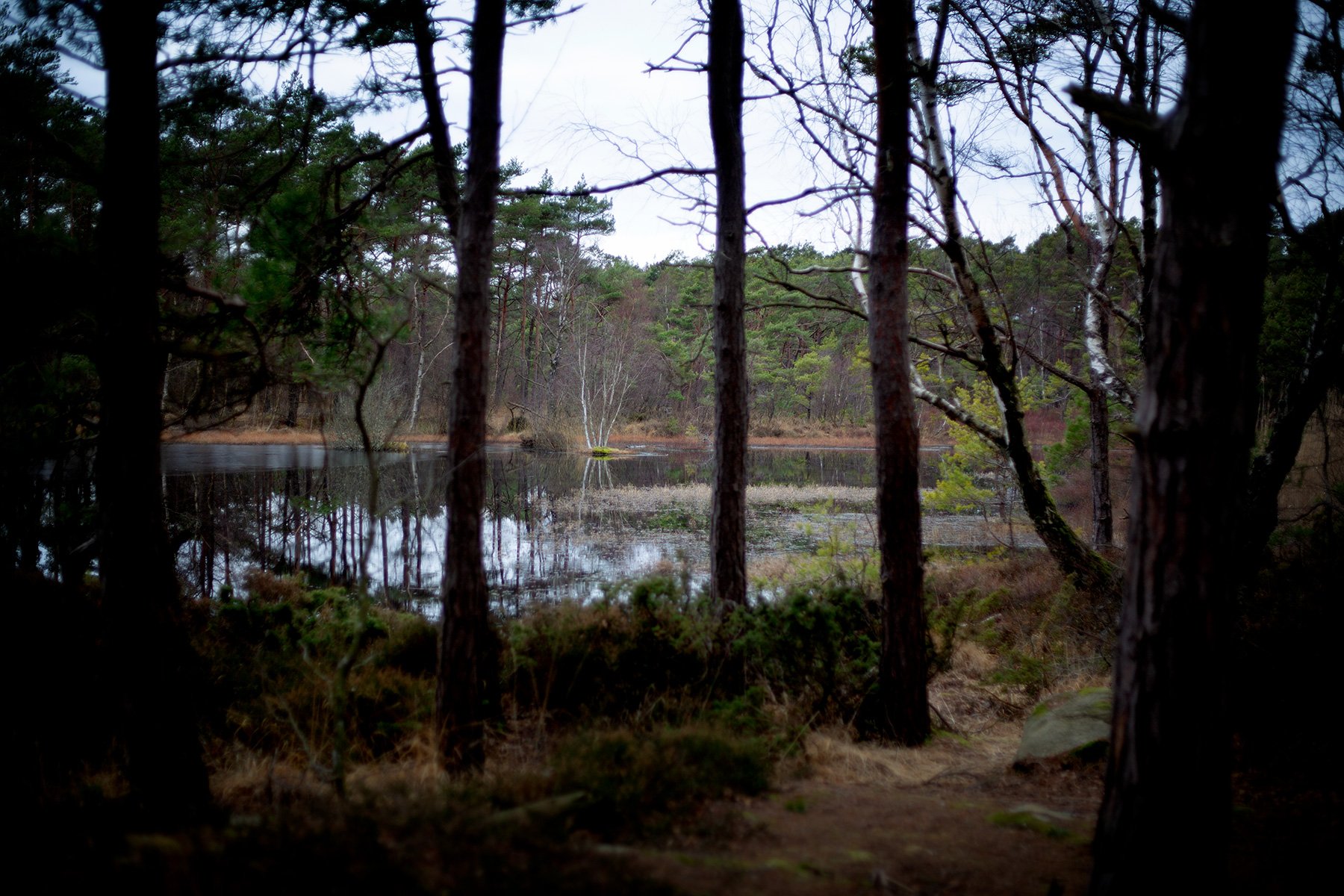 blogg-240224vindskyddet7.jpg