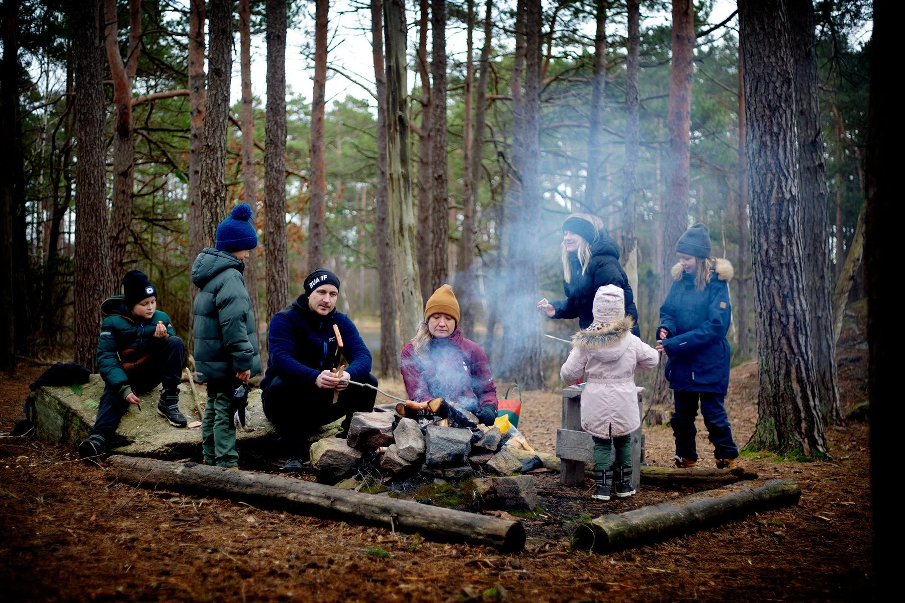 blogg-240224vindskyddet15.jpg