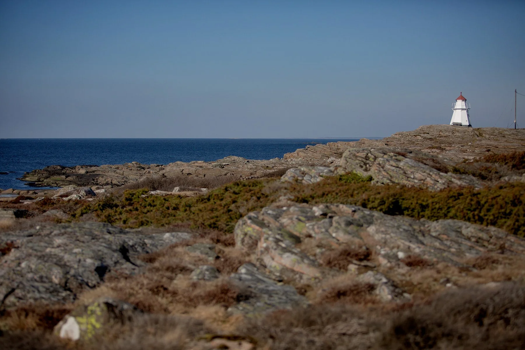 blogg-240304skogenochrodaslingan25.jpg
