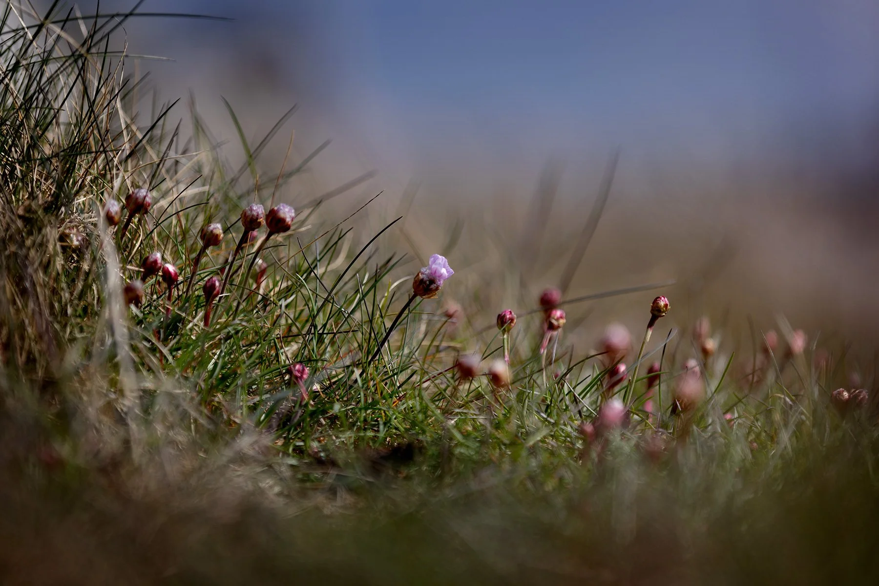 blogg-240427elofbertilfiskar4.jpg