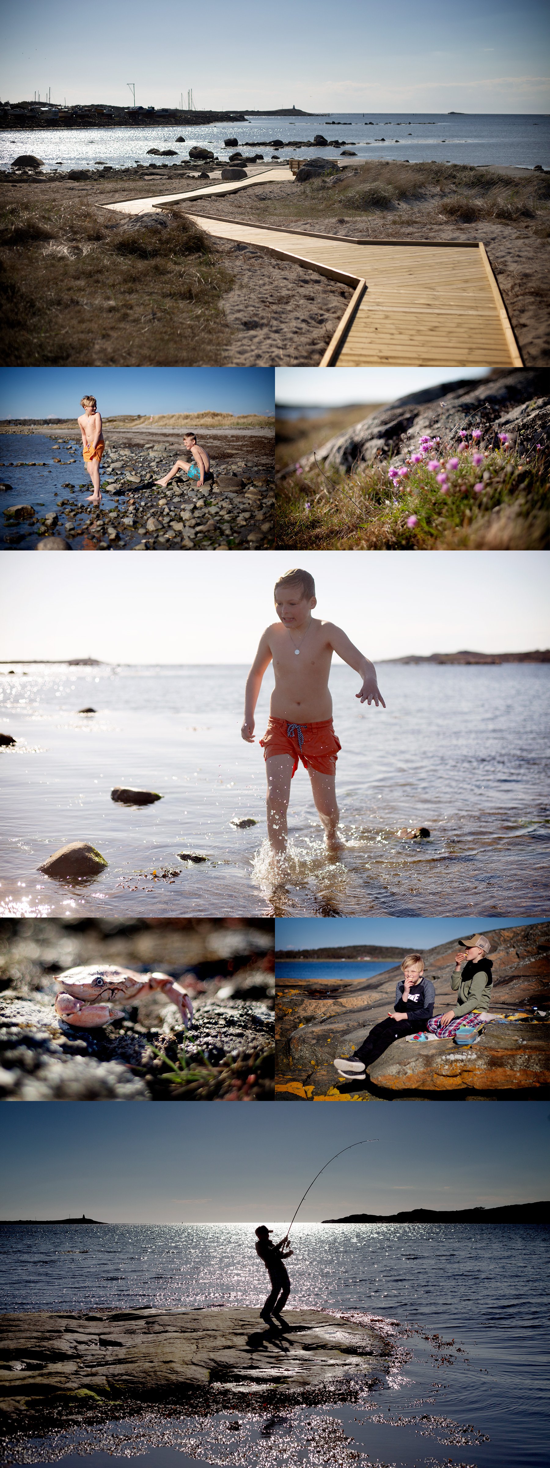 Bålekväll
