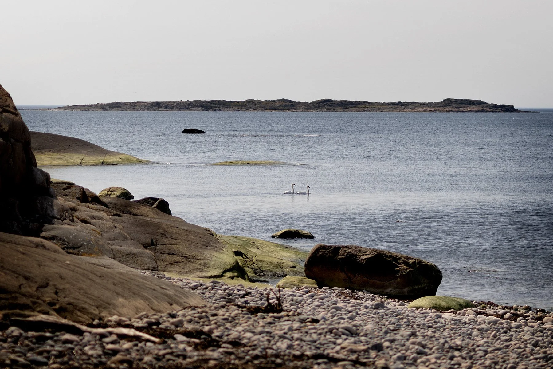 blogg-240501tollvik4.jpg