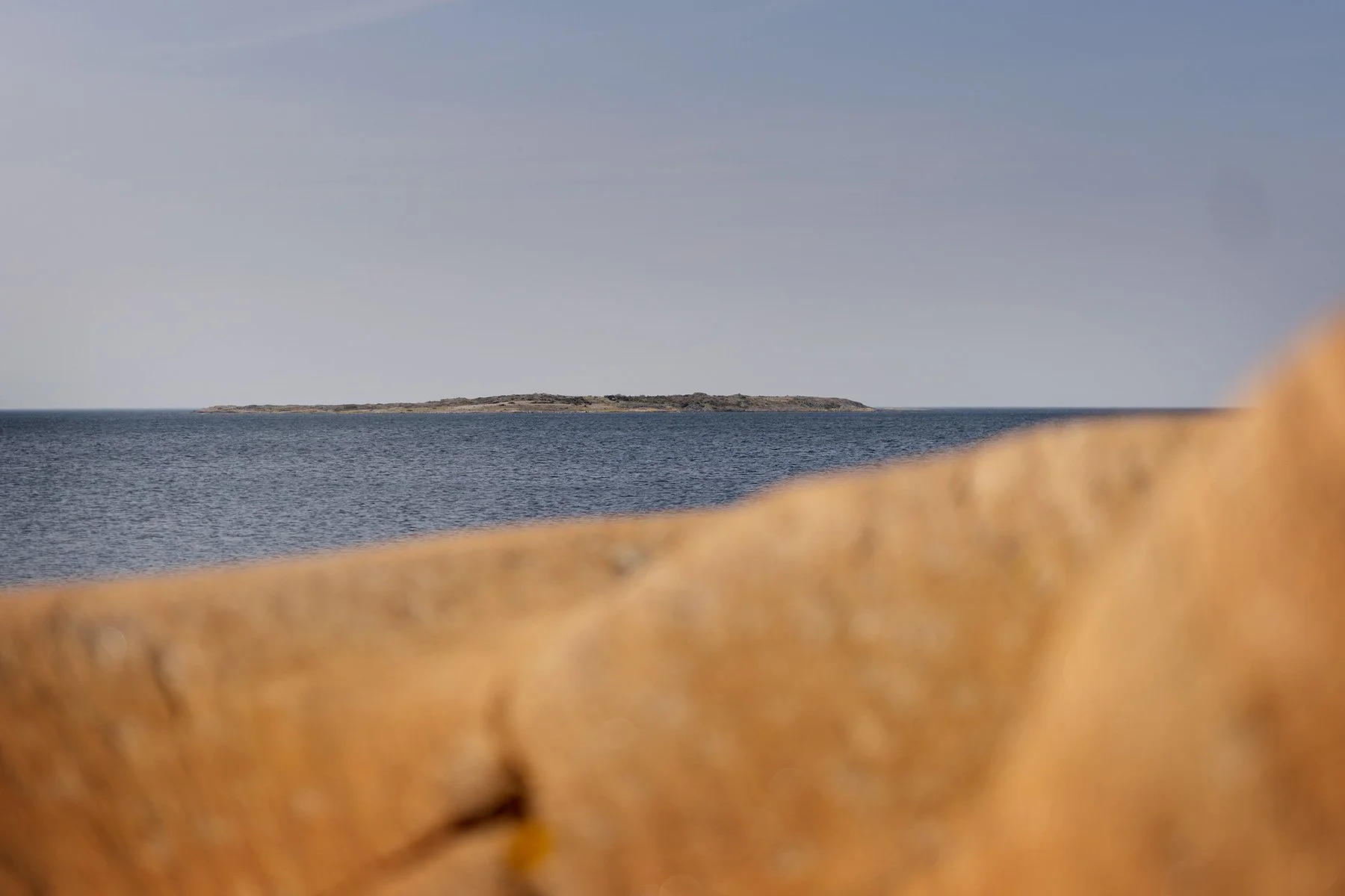 blogg-240501tollvik9.jpg