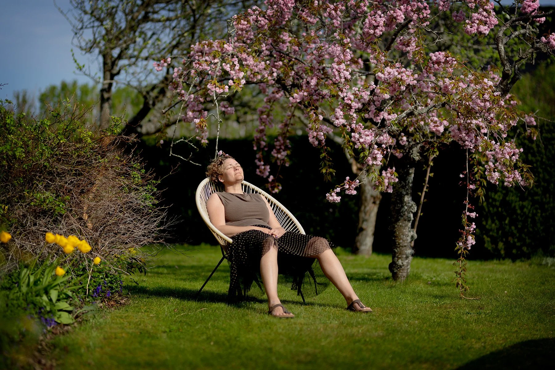 blogg-240502tradgarden5.jpg
