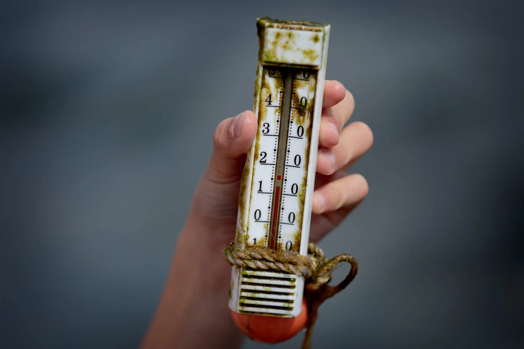 blogg-240505hamnbad25.jpg