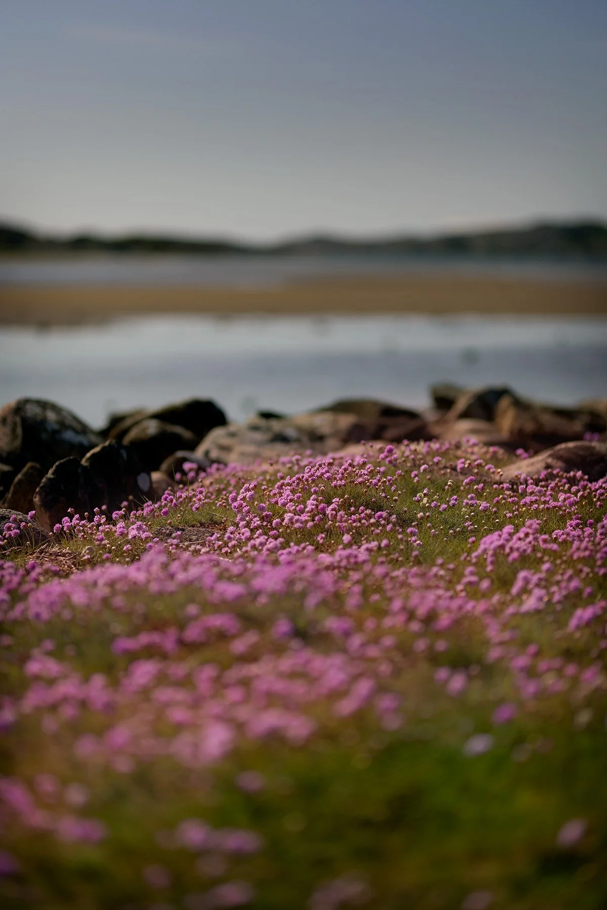 Triftstrand