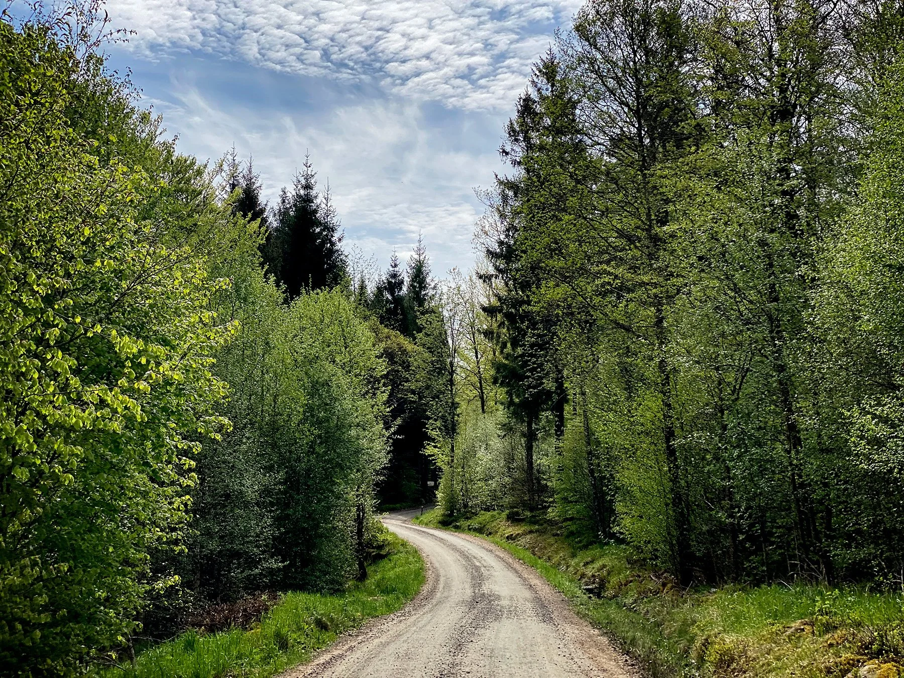 blogg-240508akullajosefine12.jpg