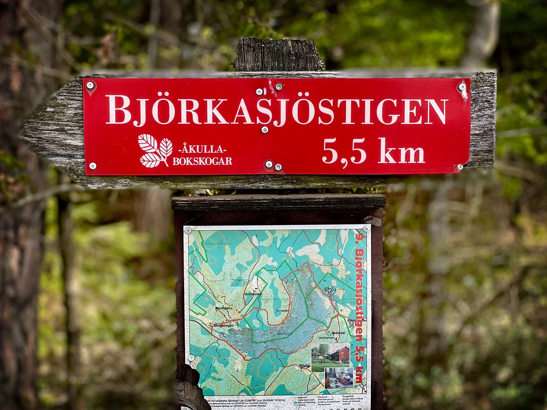 blogg-240508akullajosefine13.jpg