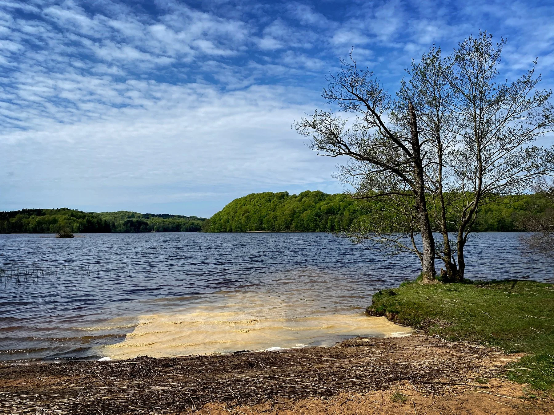 blogg-240508akullajosefine14.jpg