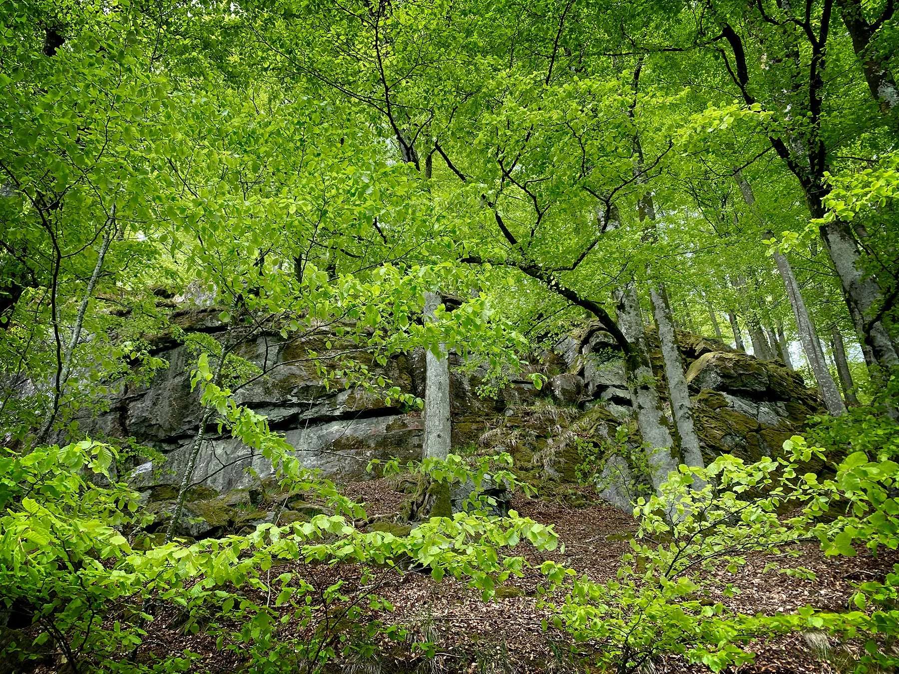 blogg-240508akullajosefine19.jpg
