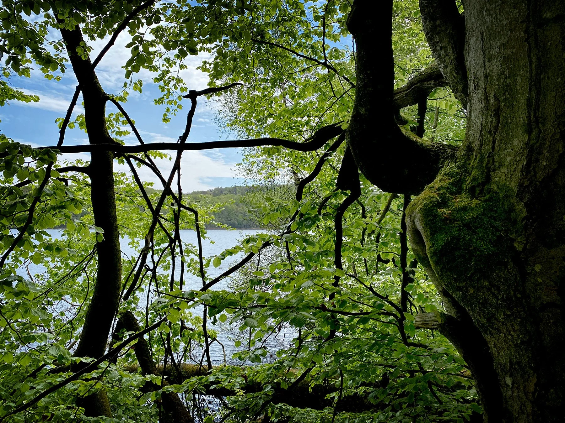 blogg-240508akullajosefine21.jpg