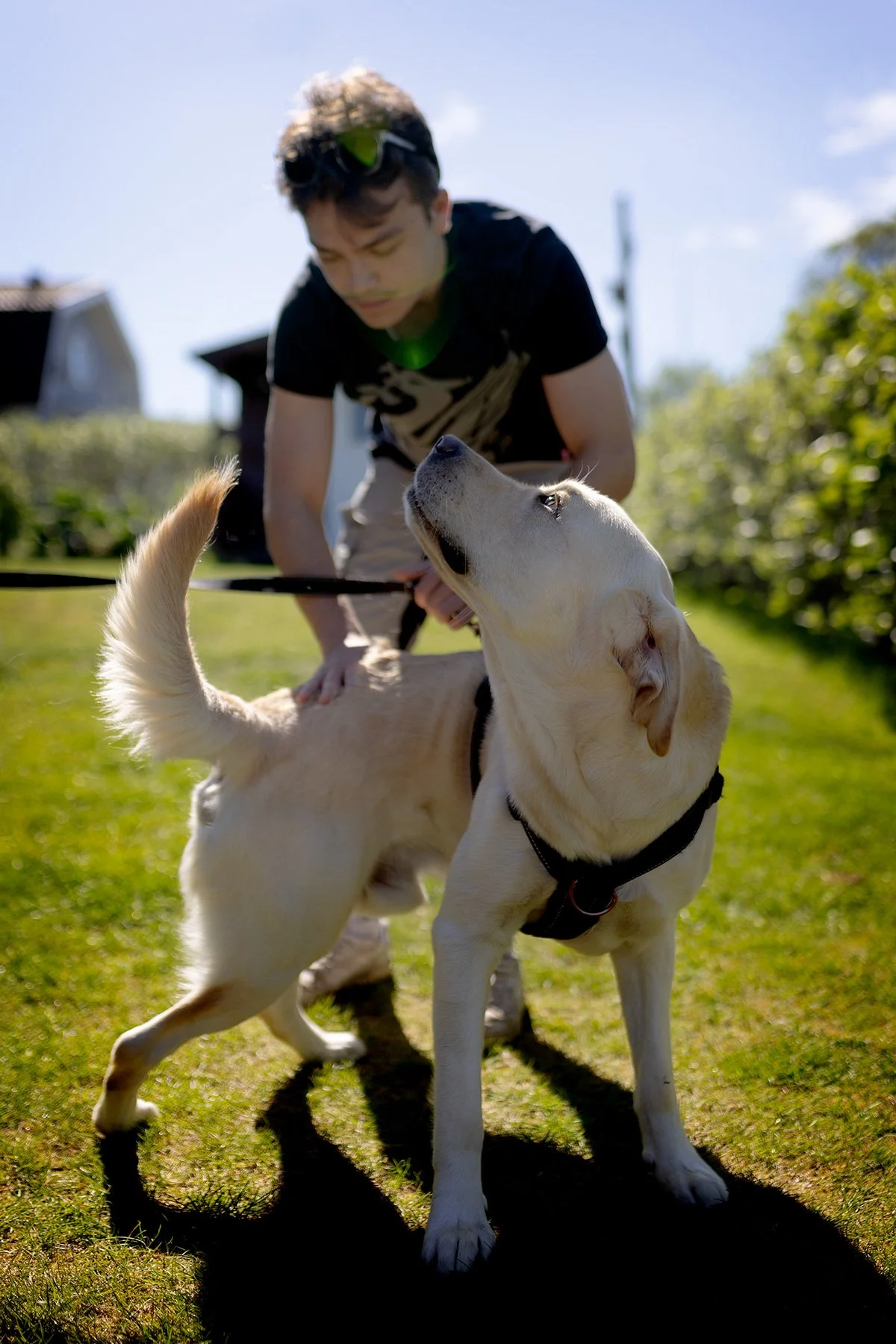 blogg-250511pippifixtradgarden3.jpg