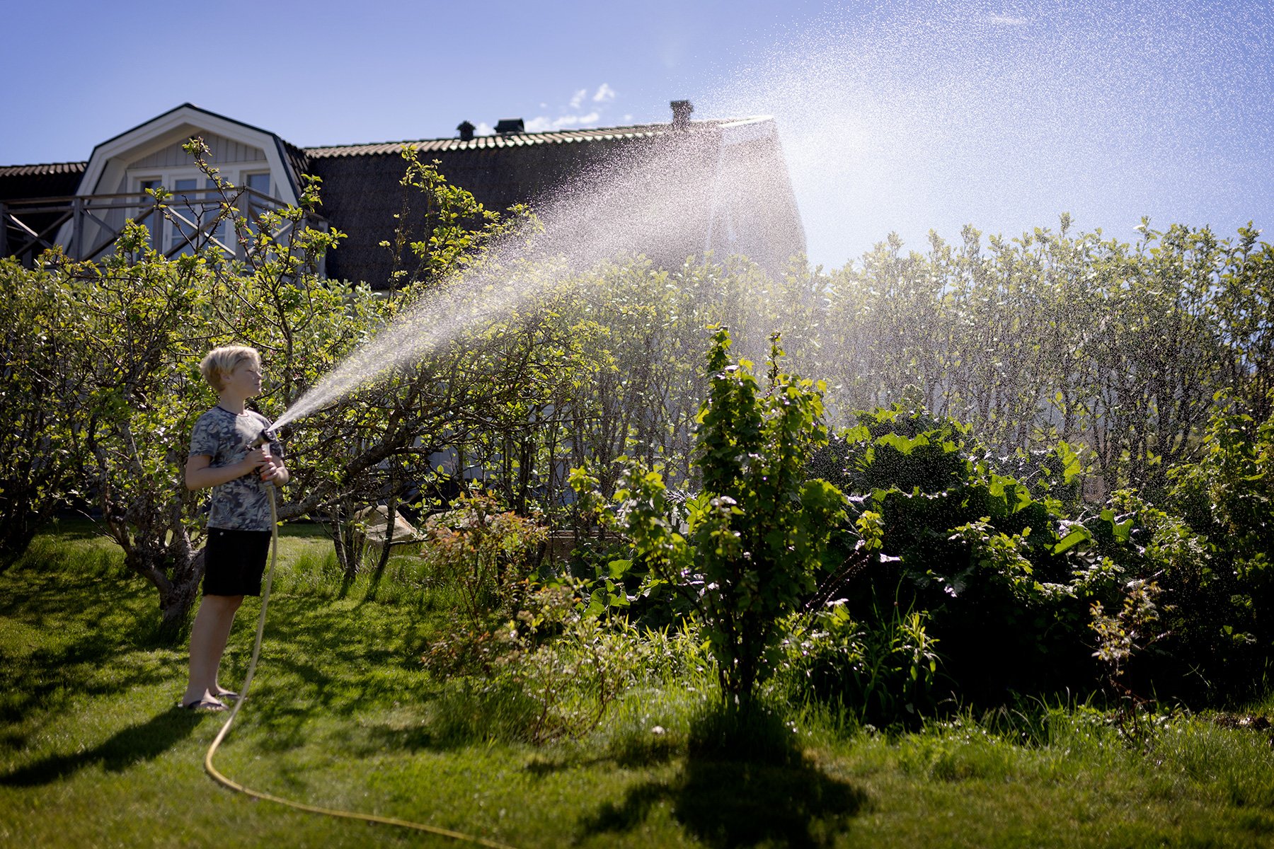 blogg-250511pippifixtradgarden6.jpg