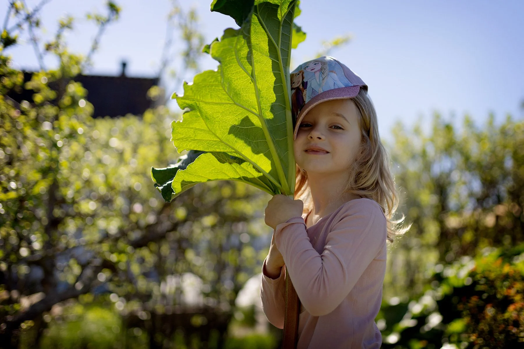 blogg-250511pippifixtradgarden7.jpg
