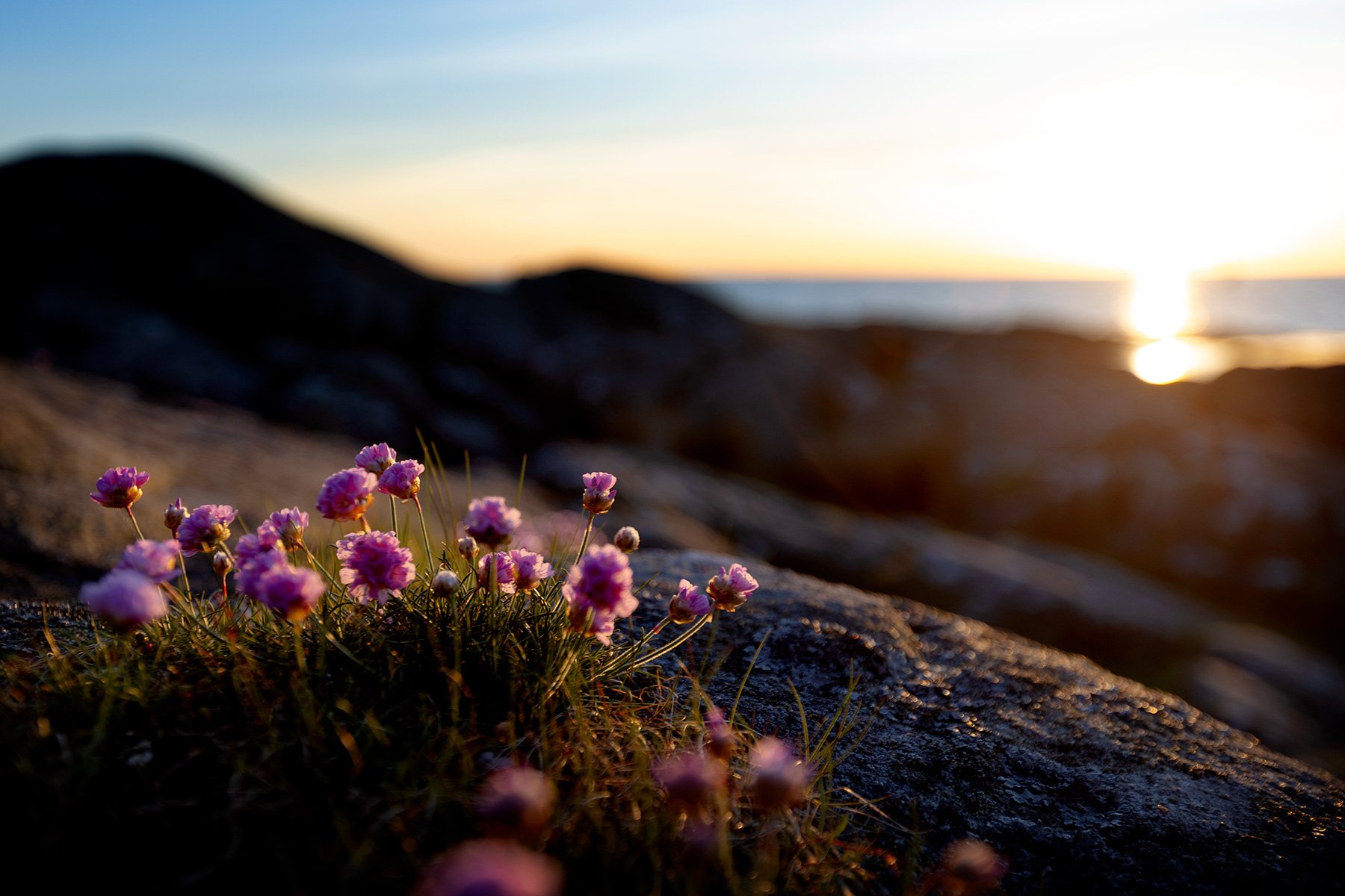 blogg-250511sunnero37.jpg