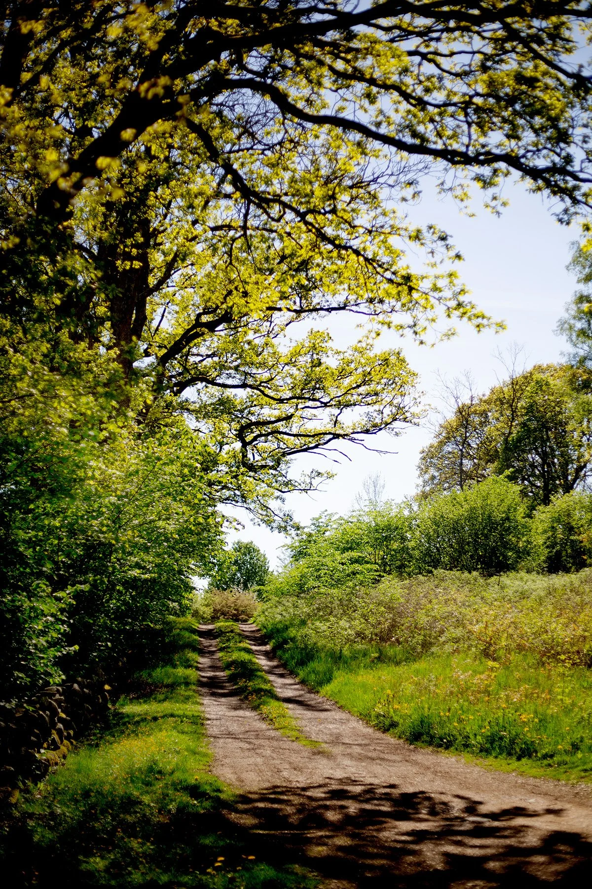 blogg-250512hemmasondag1.jpg