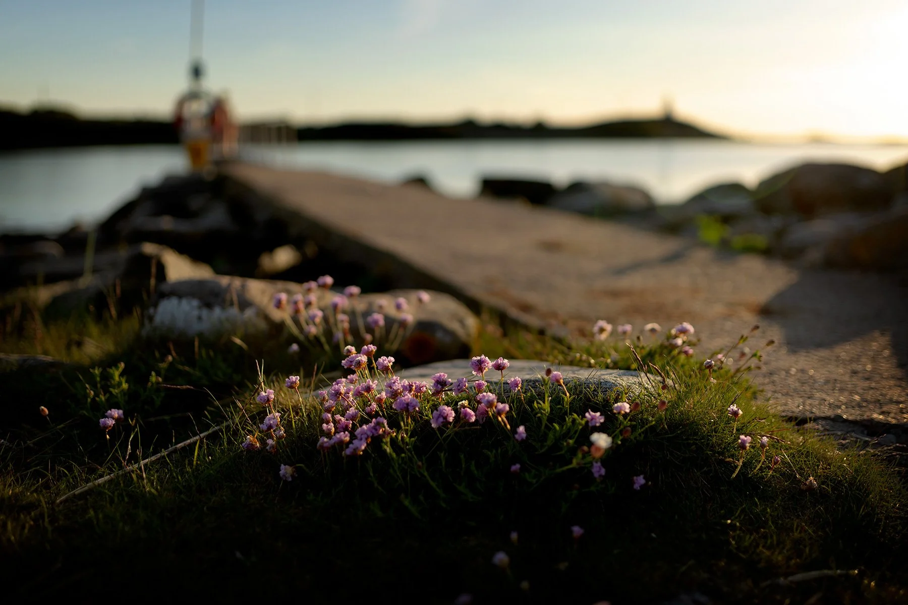 blogg-240513kvallsdoppfyren19.jpg