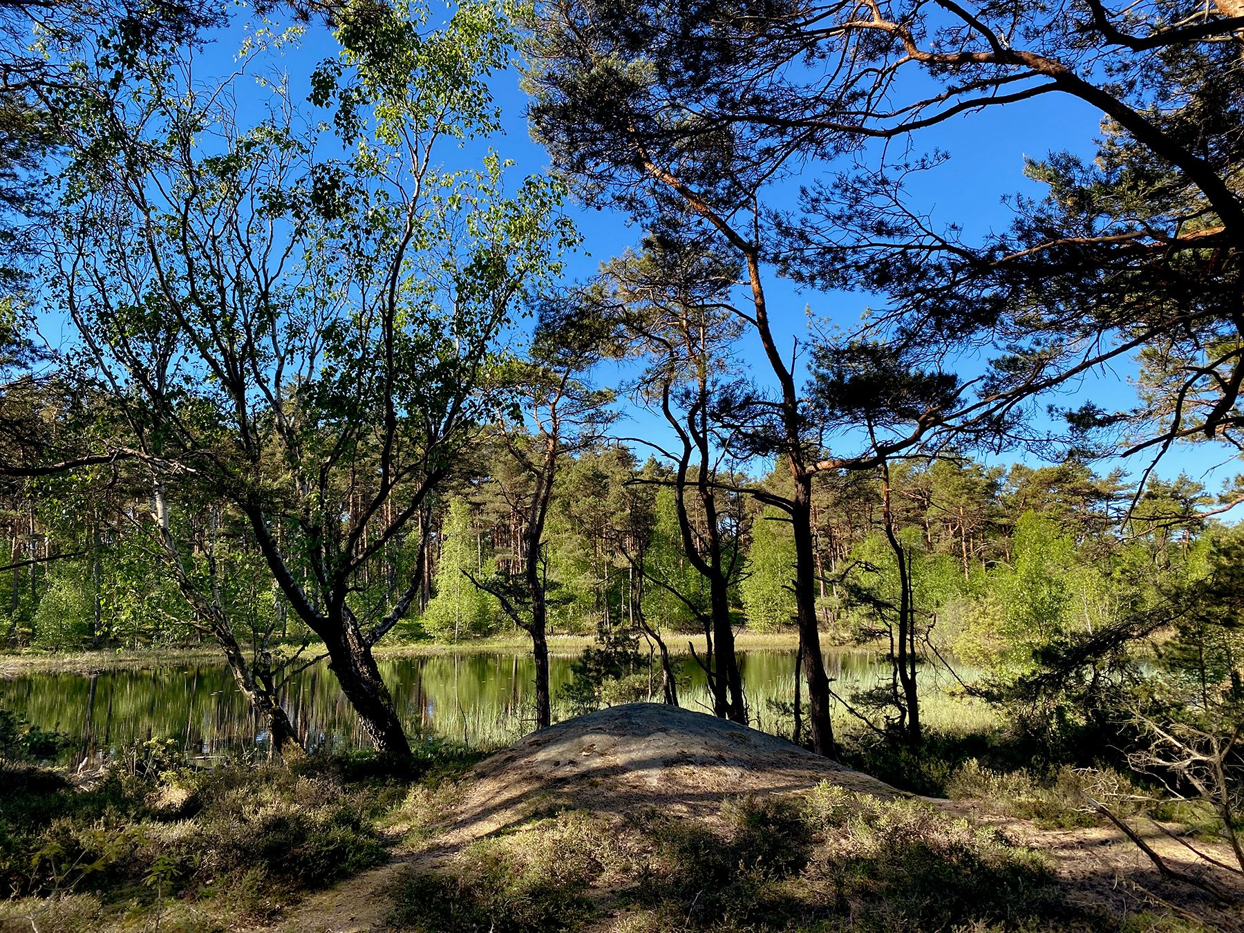 blogg-240514tollvikpromenad2.jpg