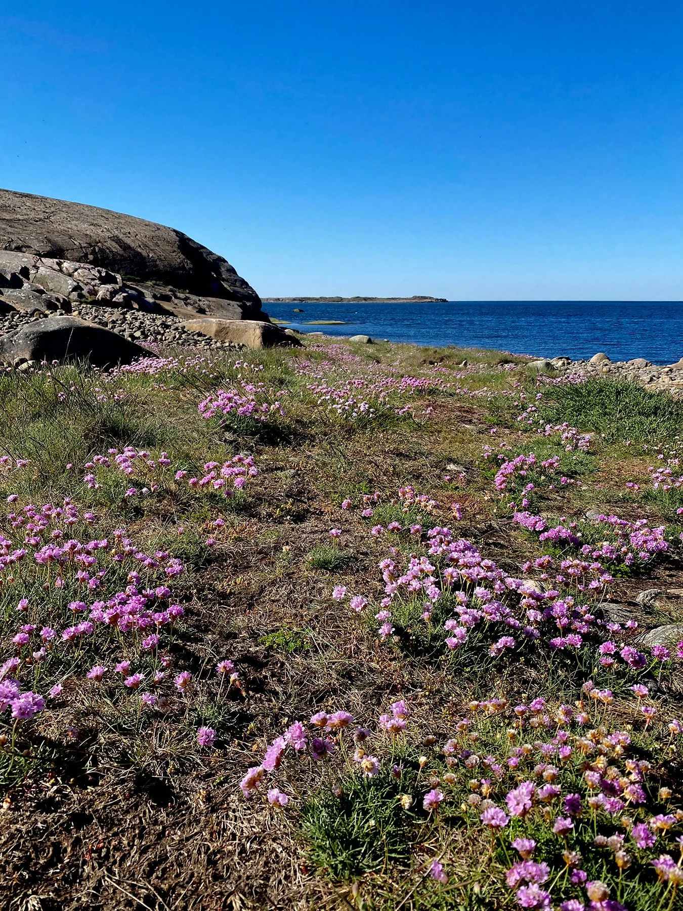 blogg-240514tollvikpromenad6.jpg