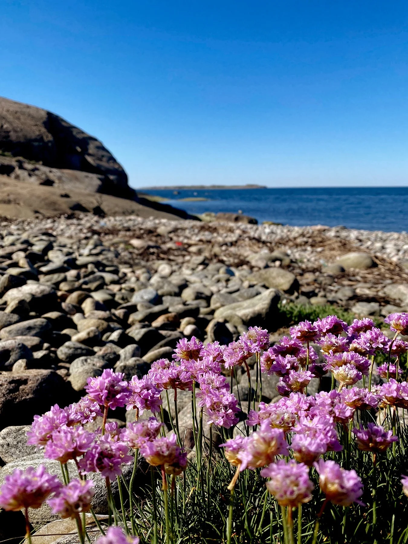 blogg-240514tollvikpromenadextra.jpg