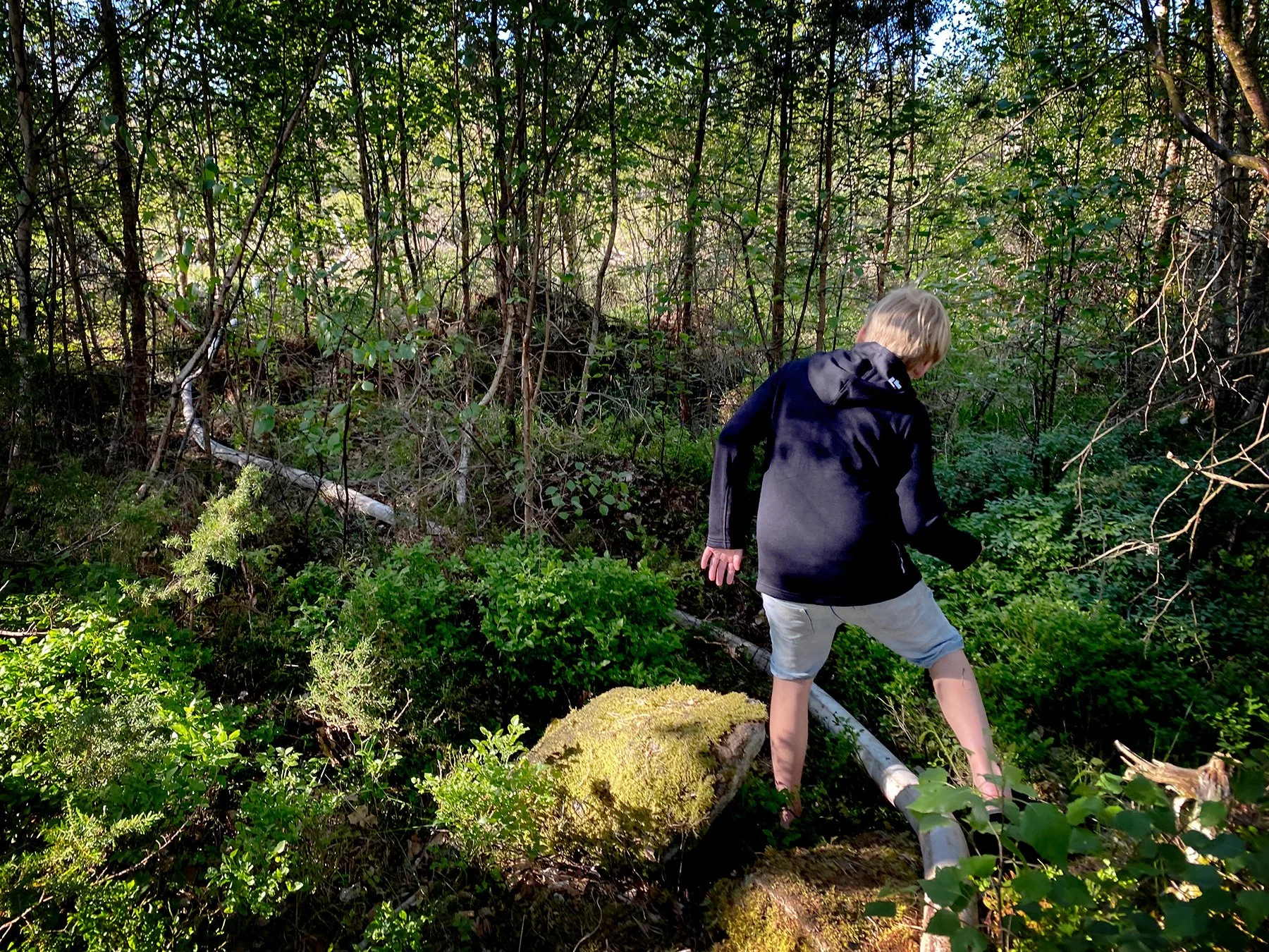 blogg-240518brunnitiskogen2.jpg