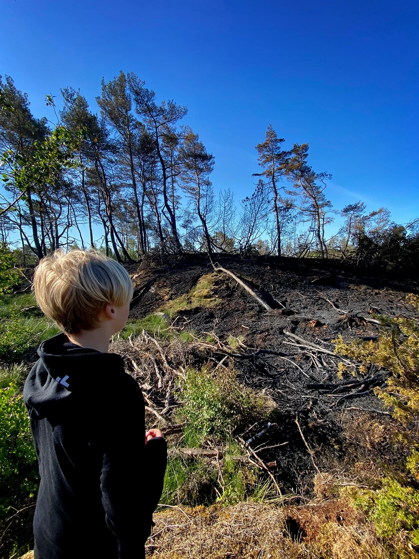 blogg-240518brunnitiskogen6.jpg