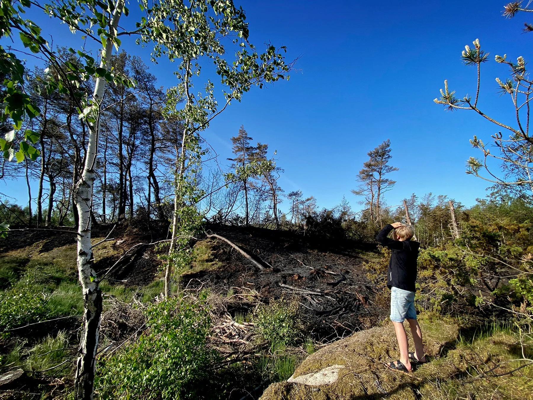 blogg-240518brunnitiskogen8.jpg