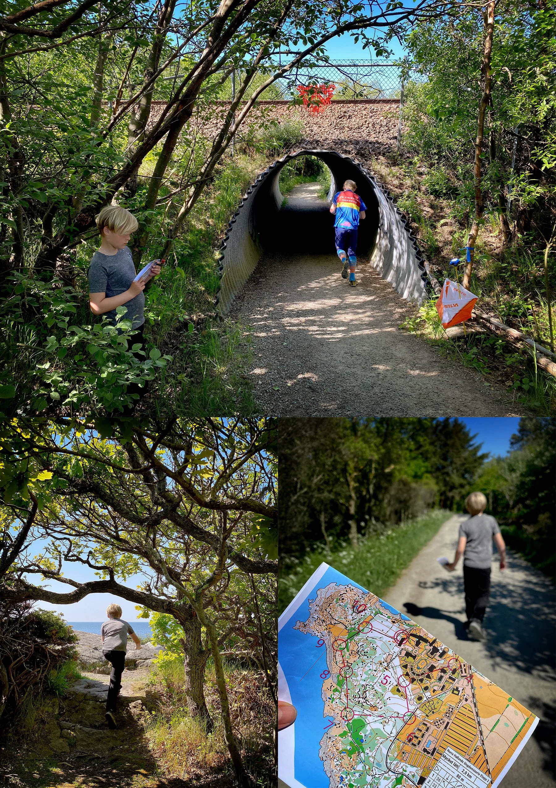 Orientering i Varberg