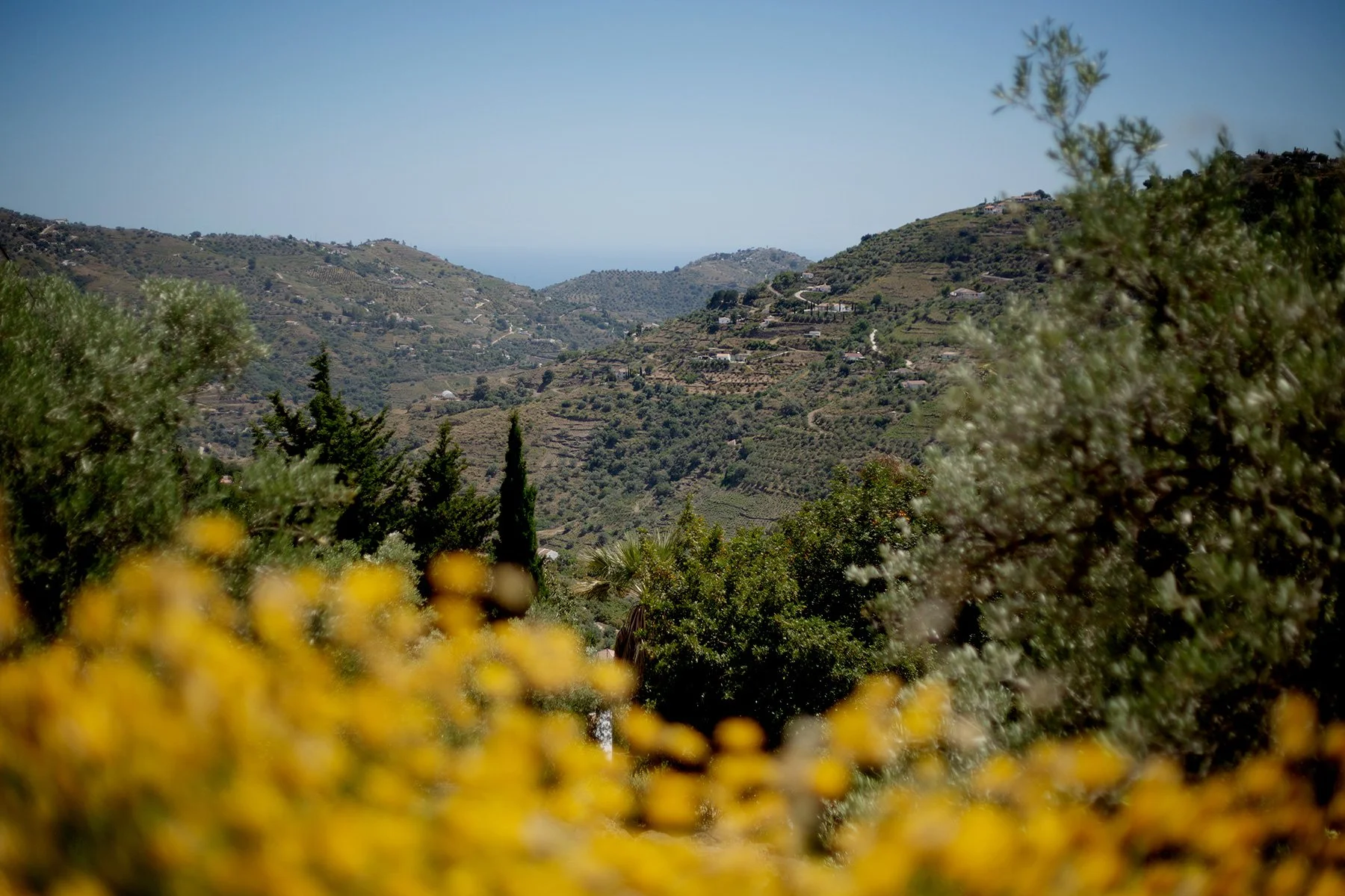 blogg-240520competa11.jpg