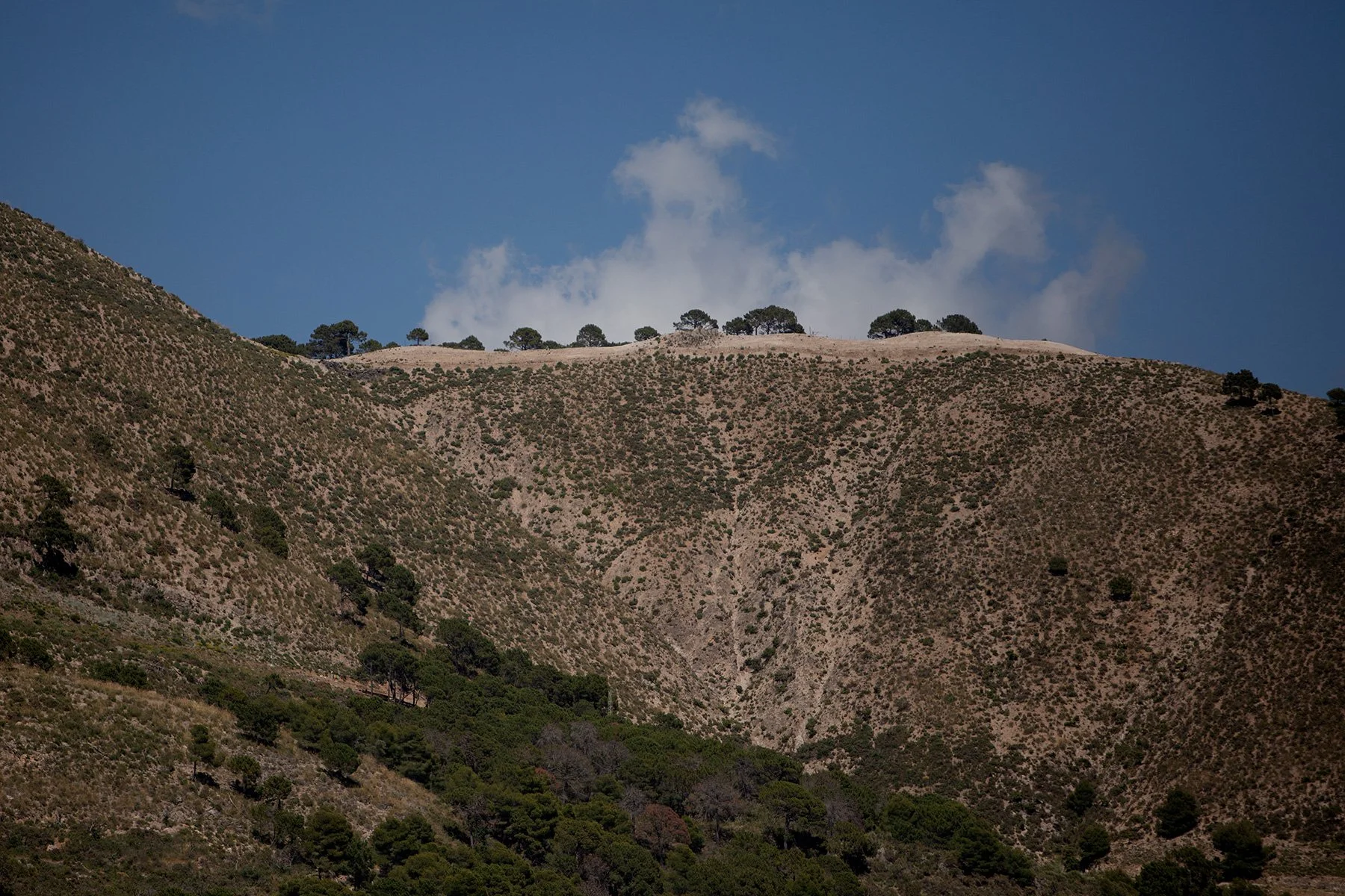 blogg-240520competa31.jpg