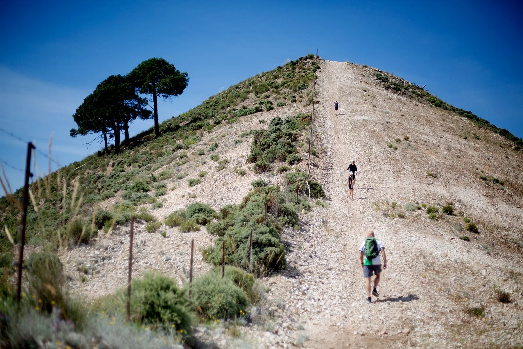 blogg-240523bestigabergcompeta11.jpg